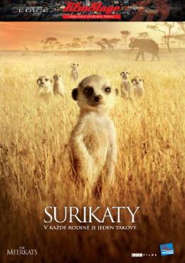 Surikaty